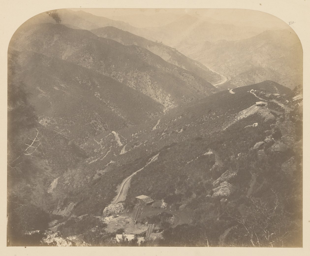 [Josephine ja Pine Tree] tekijältä Carleton Watkins