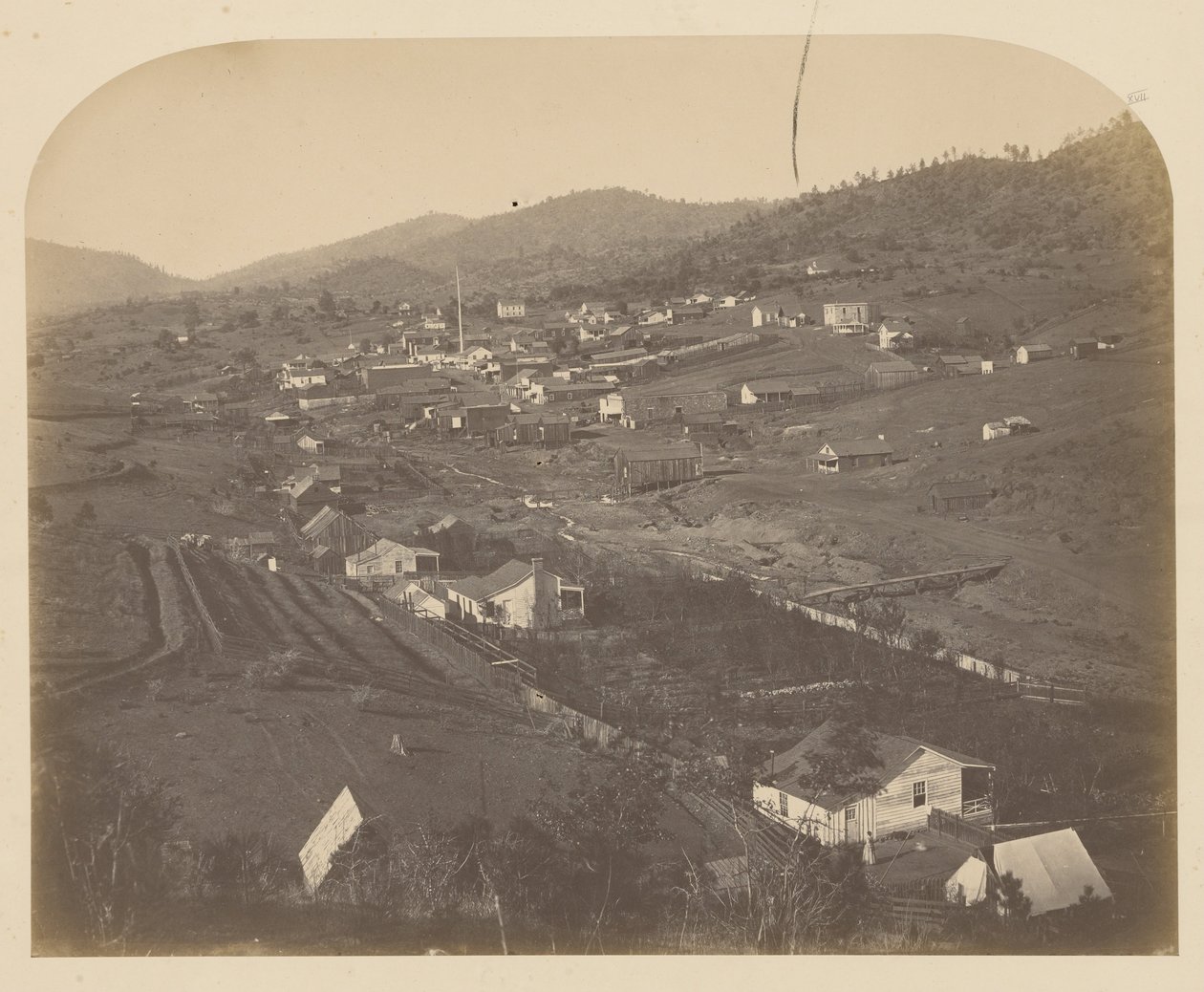 Mariposa - itä tekijältä Carleton Watkins