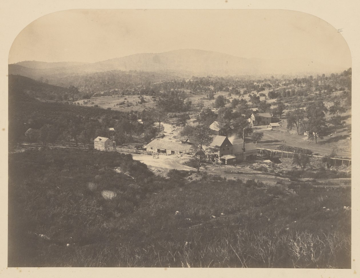[Mt. Ophir - pohjoinen] tekijältä Carleton Watkins