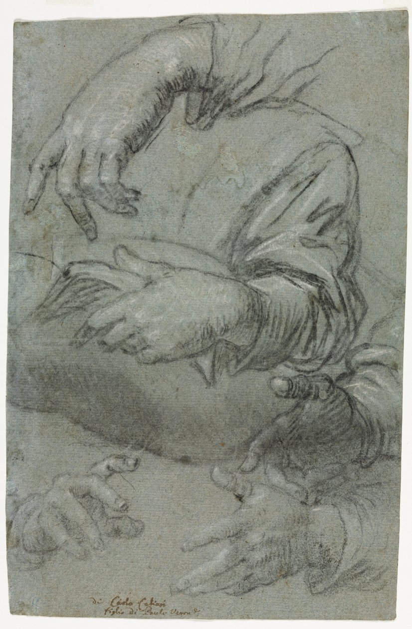 Studies of Hands recto, n. 1586. tekijältä Carletto Caliari