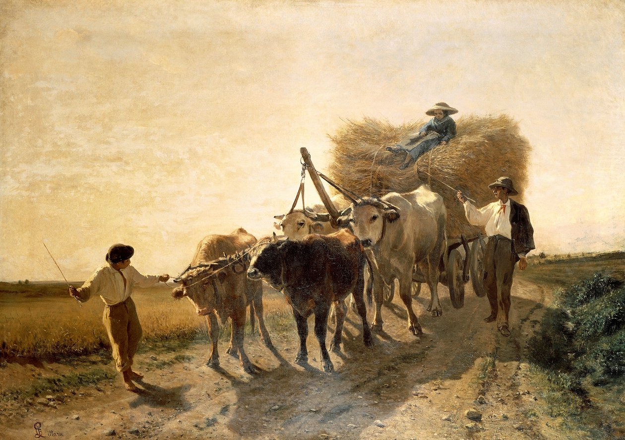 Harvest, kirjoittanut Carlo Pittara (1836-1890) tekijältä Carlo Pittara