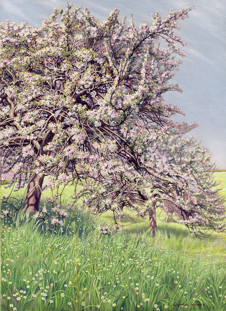 Kukkivat omenapuut, 1912 tekijältä Carlos Schwabe