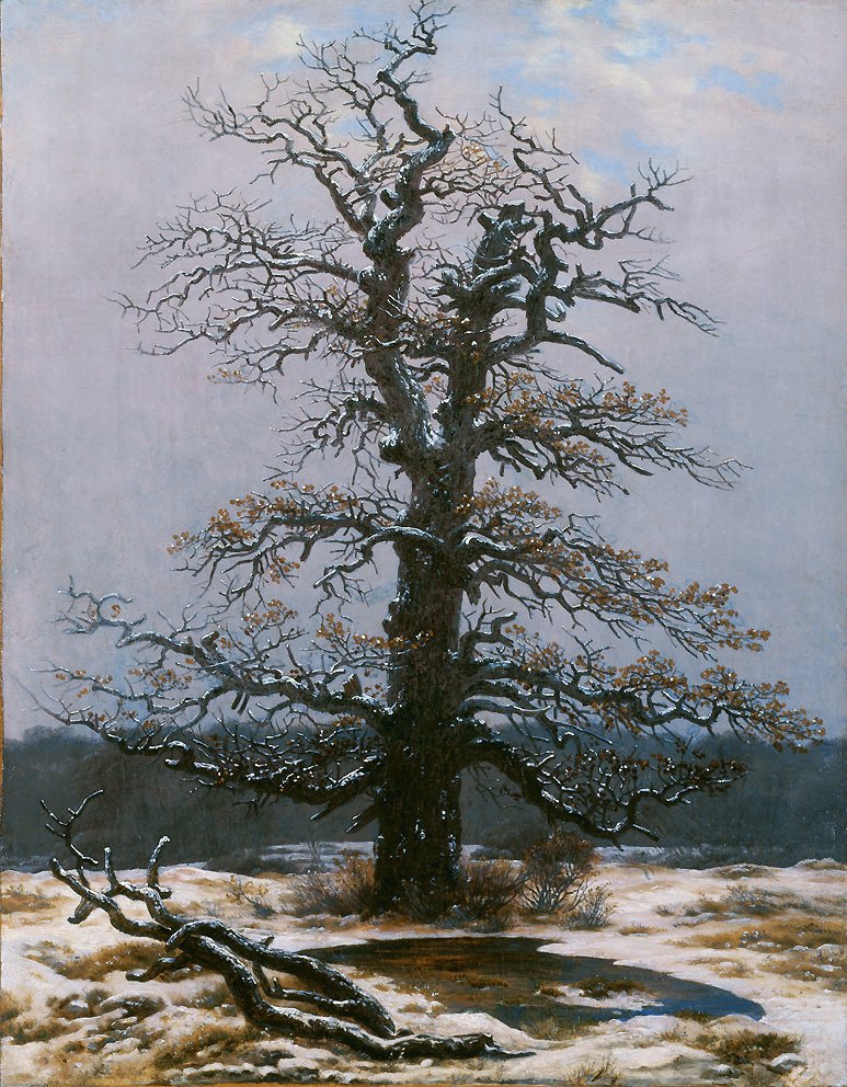 Tammi lumessa tekijältä Caspar David Friedrich