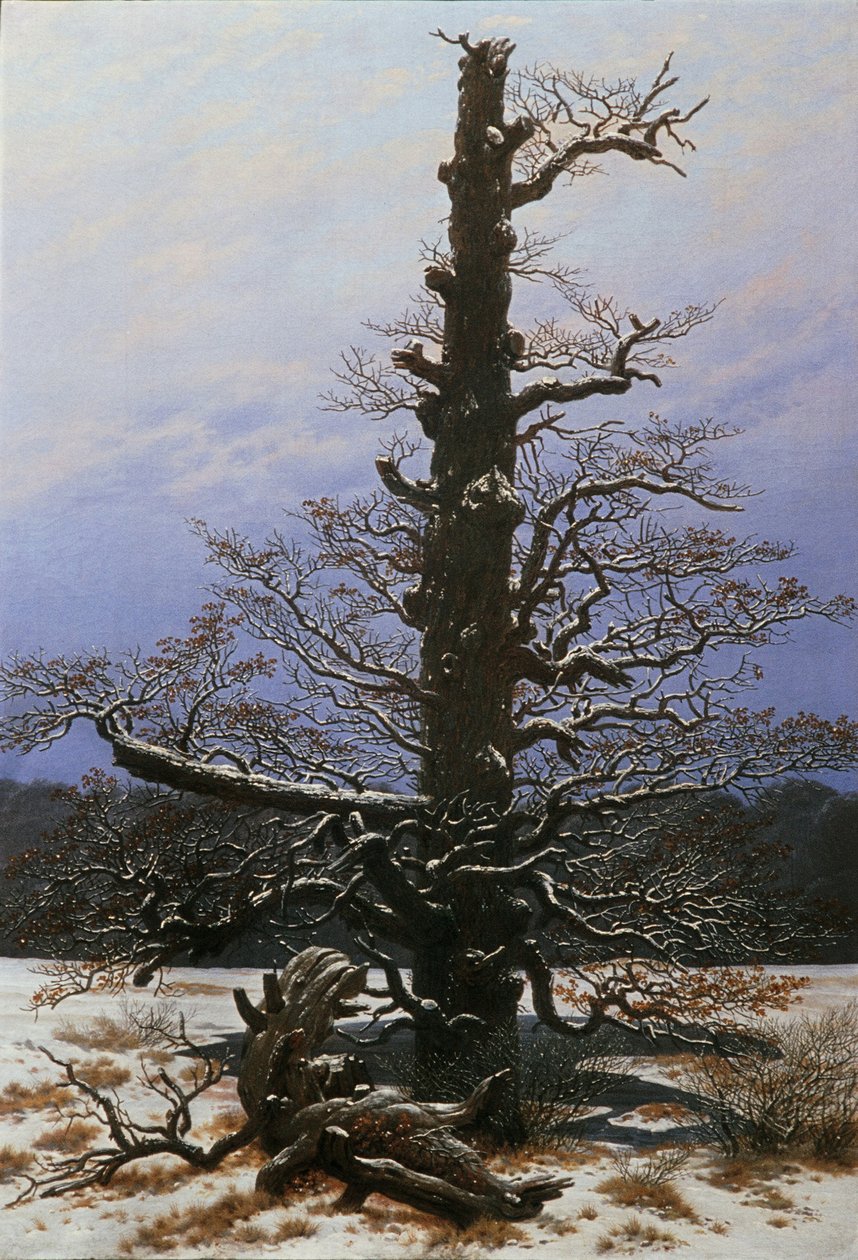 Tammi lumessa tekijältä Caspar David Friedrich