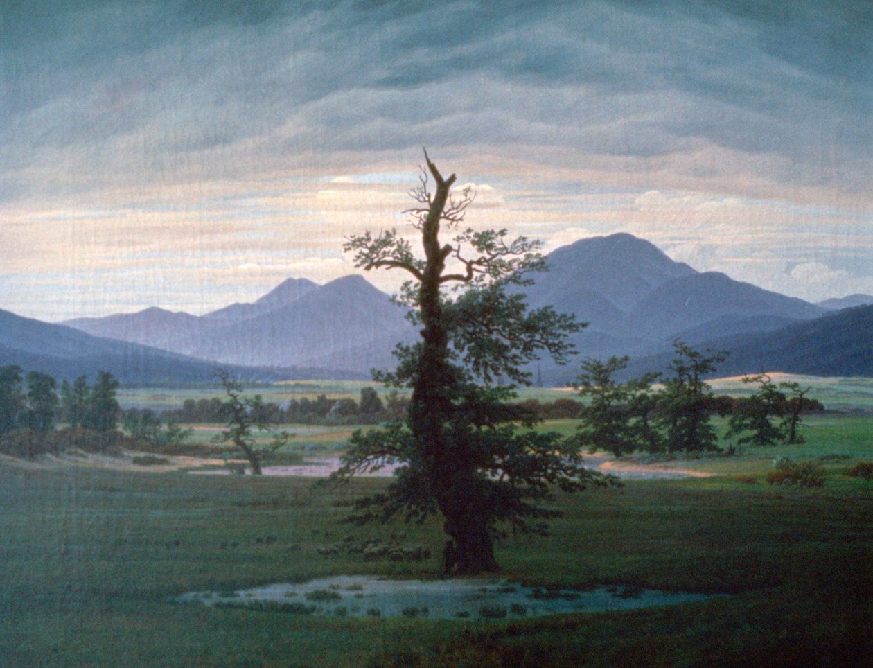 Yksinäinen puu, 1823 tekijältä Caspar David Friedrich