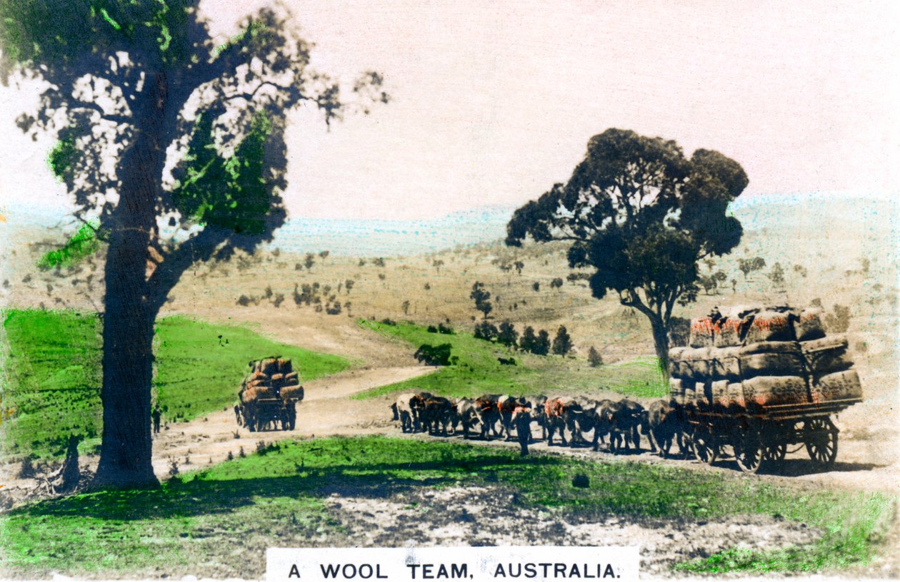 Villatiimi, Australia, 1920-luku. tekijältä Cavenders Ltd