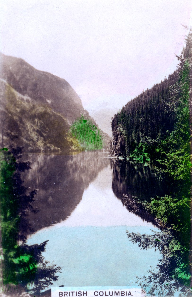 Rannikkomaisema, Brittiläinen Kolumbia, Kanada, 1920-luku. tekijältä Cavenders Ltd