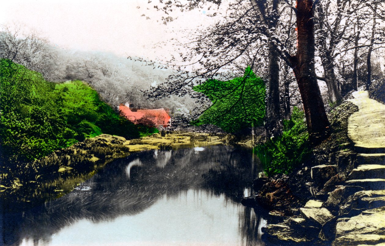 Jesmond Dene, Newcastle-upon-Tyne, Tyne & Wear, 1926. tekijältä Cavenders Ltd