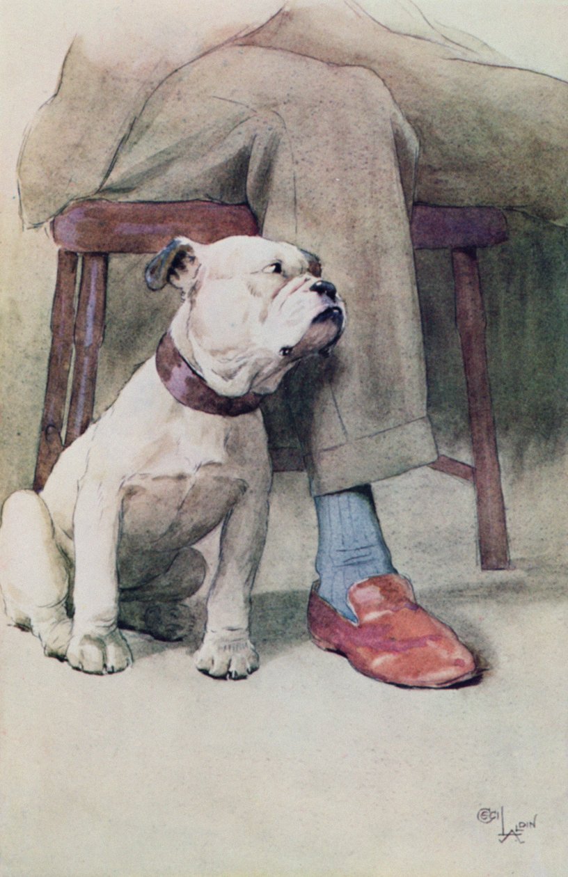 Bulldog (kynä, muste ja pesu paperille) tekijältä Cecil Charles Windsor Aldin