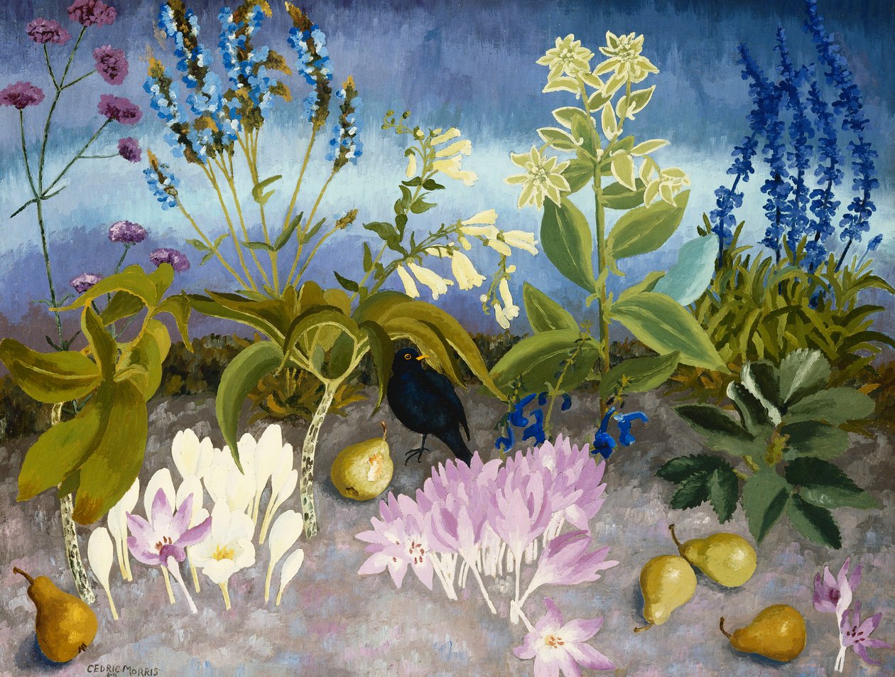 Mustarastas ja kukat tekijältä Cedric Morris