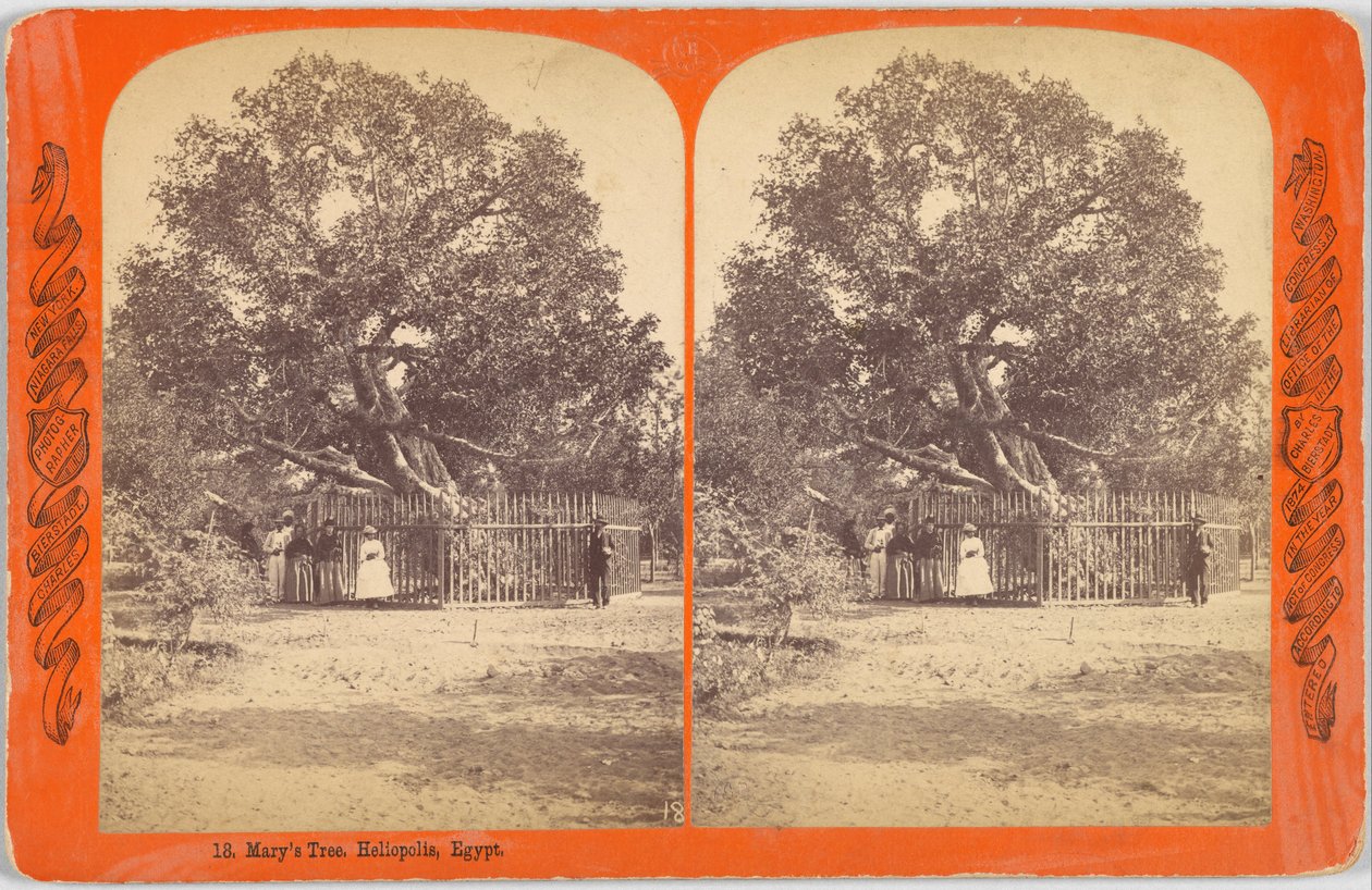 Marys Tree. Heliopolis, Egypti. tekijältä Charles Bierstadt