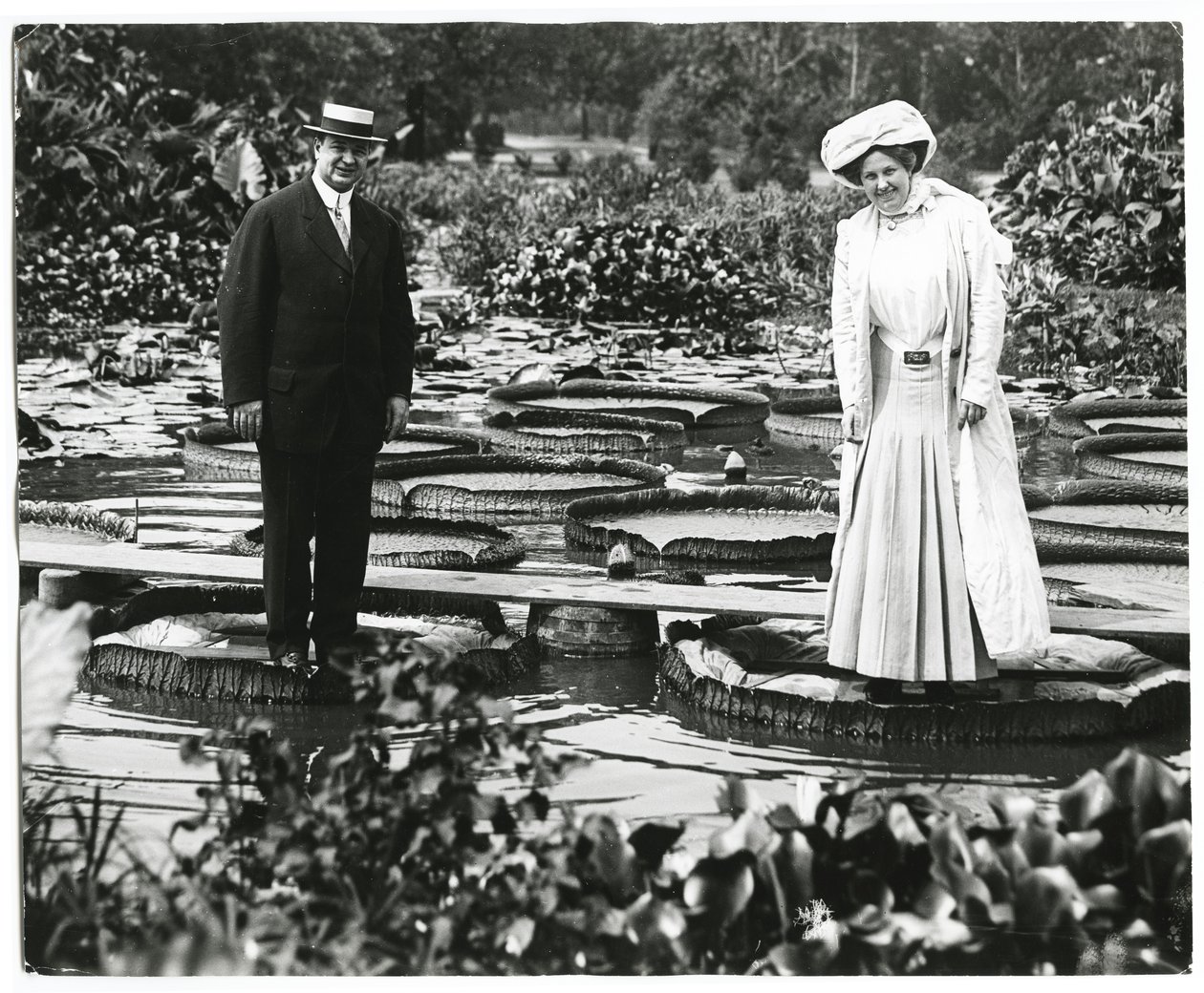 Tower Grove Park Lily Pond. Mies ja nainen seisovat liljatyynyillä. tekijältä Charles Clement Holt