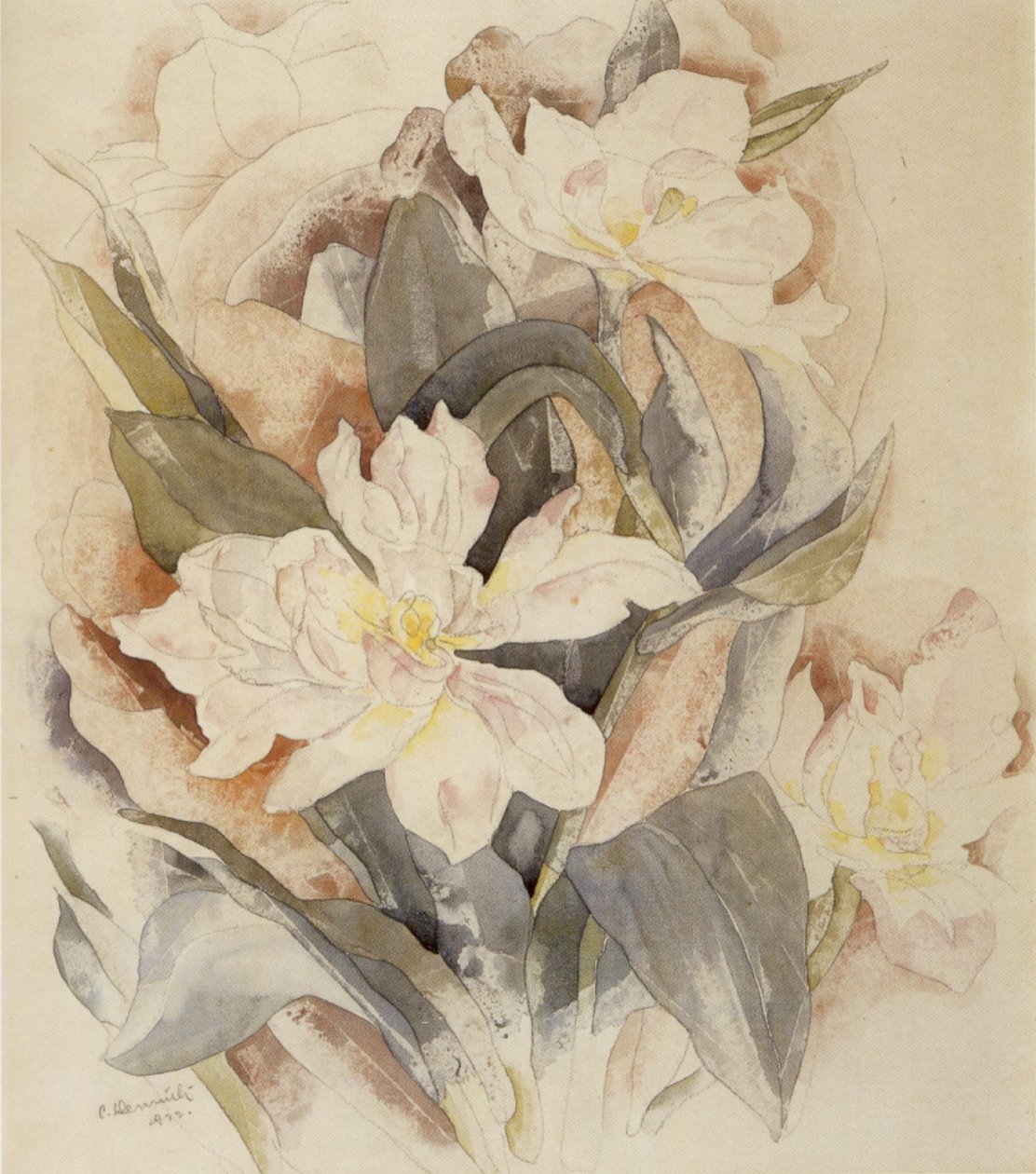 Kukkatutkimus tekijältä Charles Demuth