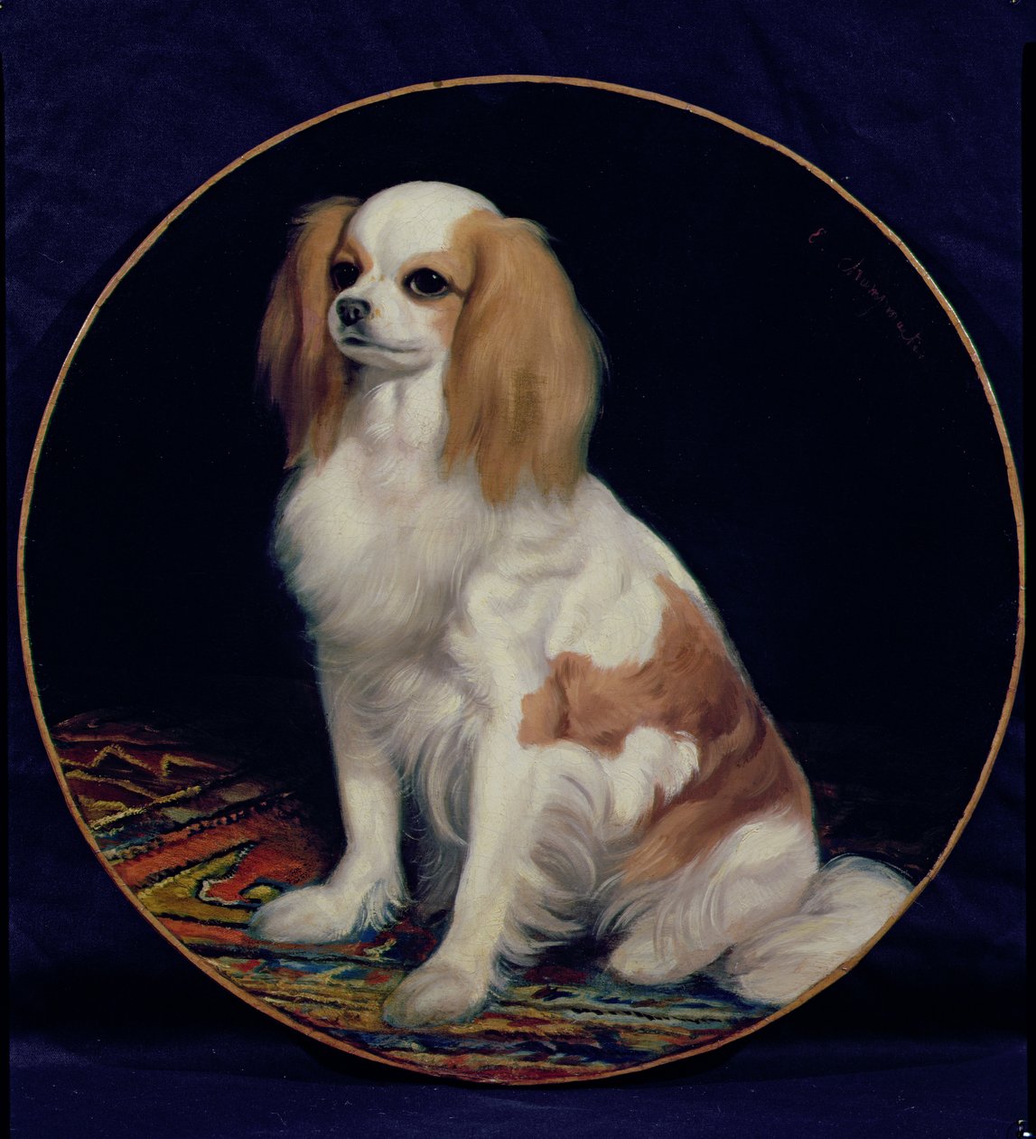 King Charles Spaniel tekijältä Charles Emile Callande de Champmartin