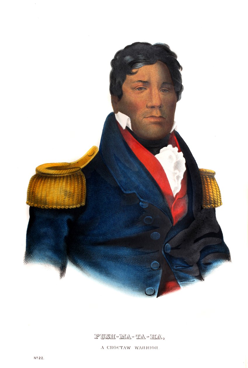 Pushmataha, Choctaw-soturi tekijältä Charles Bird King