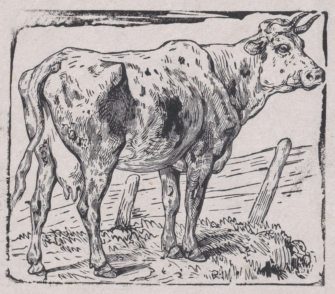 Lehmä, n. 1853. tekijältä Charles Emile Jacque