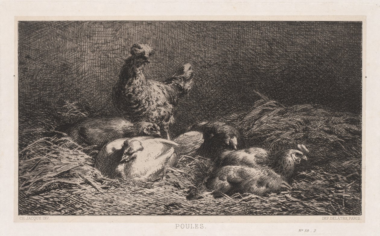 Chickens Poutes, 1867. tekijältä Charles Emile Jacque
