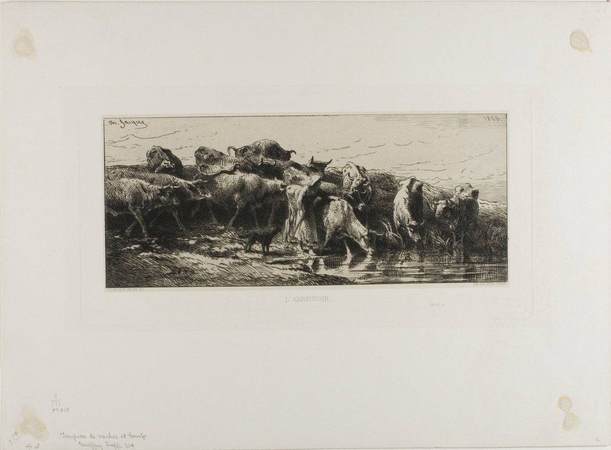 Lehmät juomassa tekijältä Charles Emile Jacque