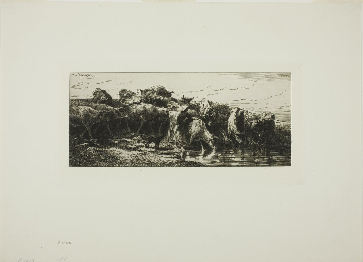 Lehmät juovat joesta tekijältä Charles Emile Jacque