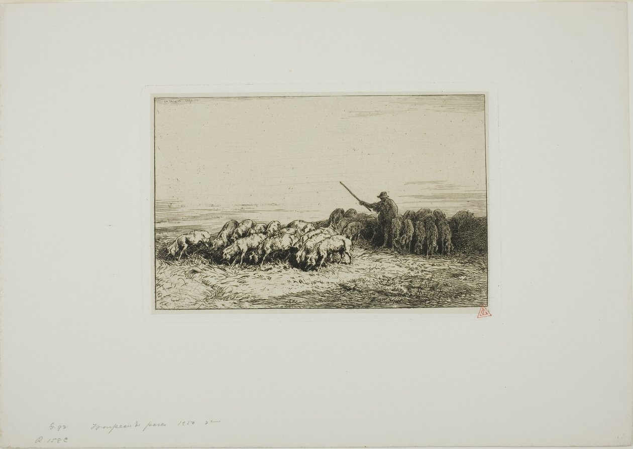 Sikalauma tekijältä Charles Emile Jacque