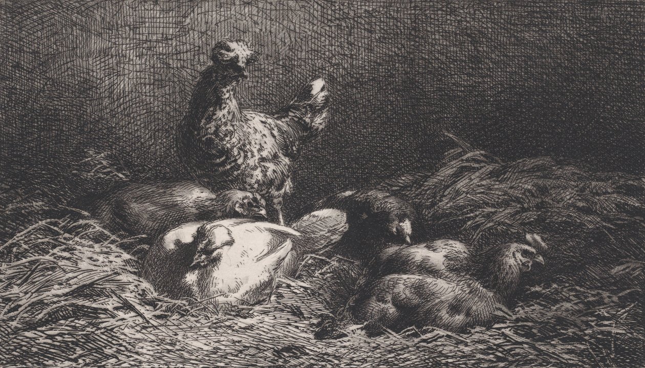 Kanat, 1867. tekijältä Charles Emile Jacque