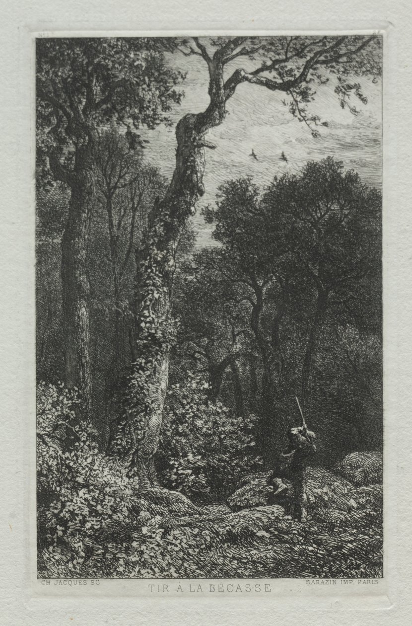 Woodcockin ampuminen. tekijältä Charles Emile Jacque