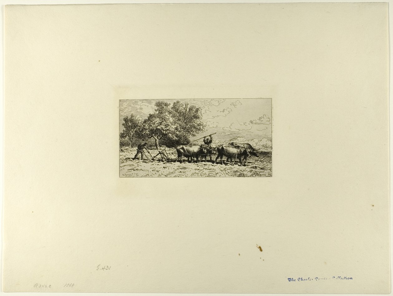 Oxenin joukkue tekijältä Charles Emile Jacque