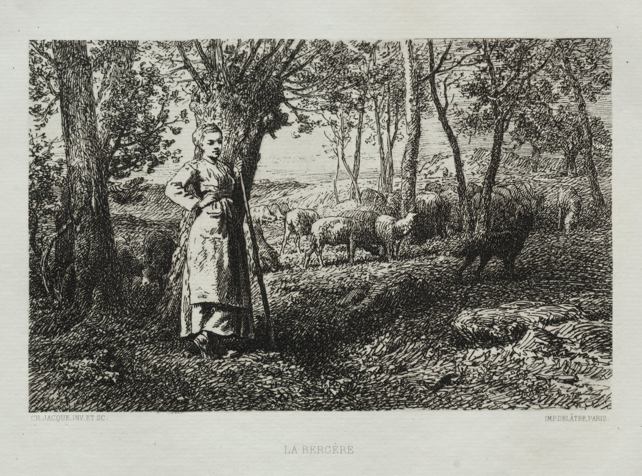 Paimentar tekijältä Charles Emile Jacque