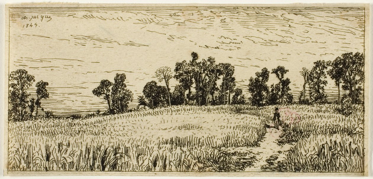 Vehnäpelto tekijältä Charles Emile Jacque