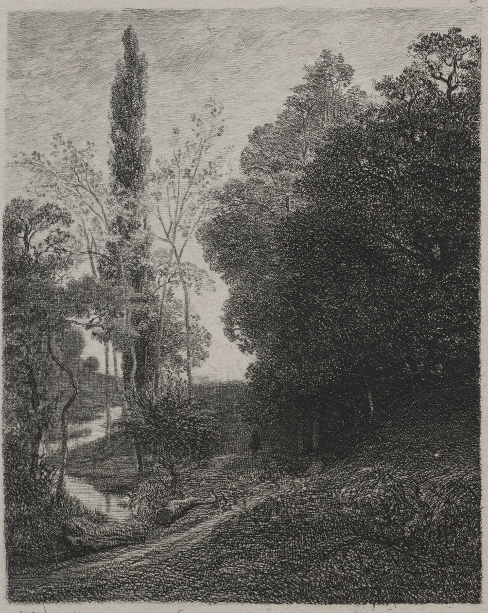 Cousin-joen rannat, 1850. tekijältä Charles Francois Daubigny
