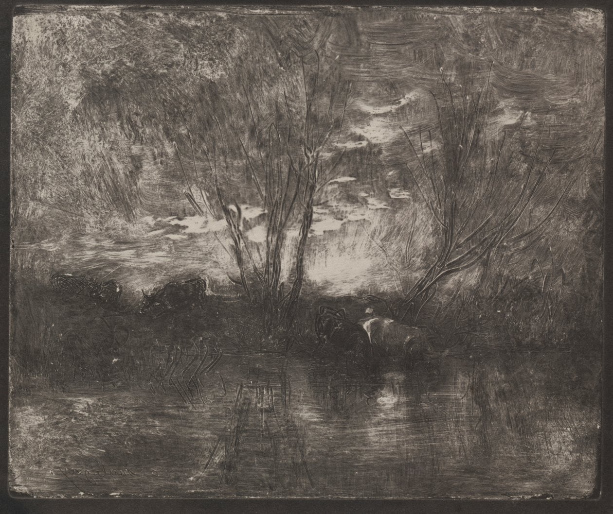 Lehmät juomapaikalla tekijältä Charles Francois Daubigny