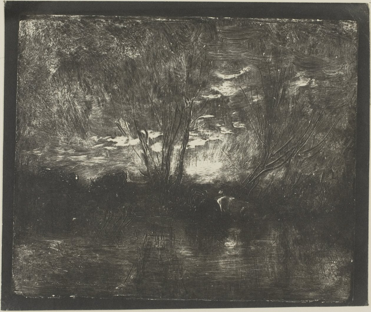 Lehmät juomapaikalla tekijältä Charles Francois Daubigny