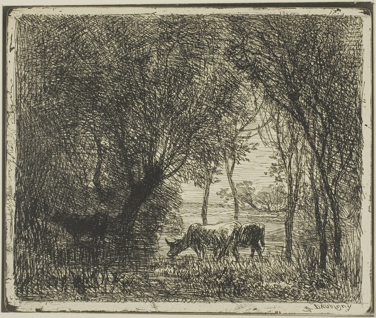 Lehmät metsässä tekijältä Charles Francois Daubigny