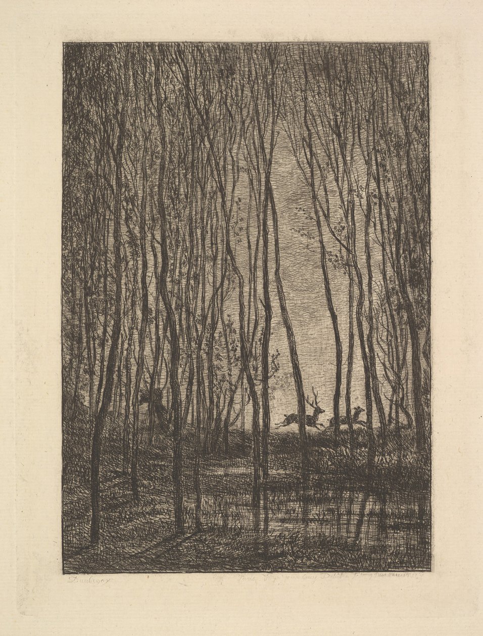 Deer in the Woods, 1850. tekijältä Charles Francois Daubigny