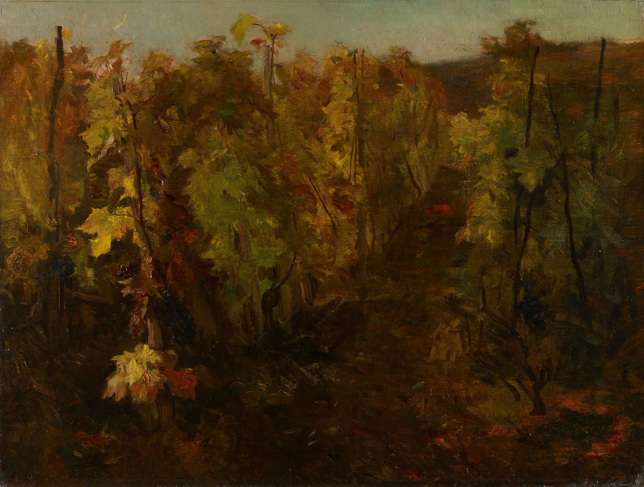 Viiniköynnös, 1860-1863. tekijältä Charles Francois Daubigny