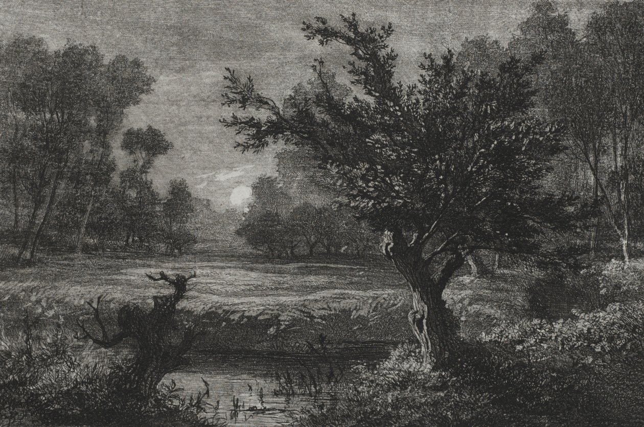 Kuunnousu Andillyn laaksossa, 1845. tekijältä Charles Francois Daubigny
