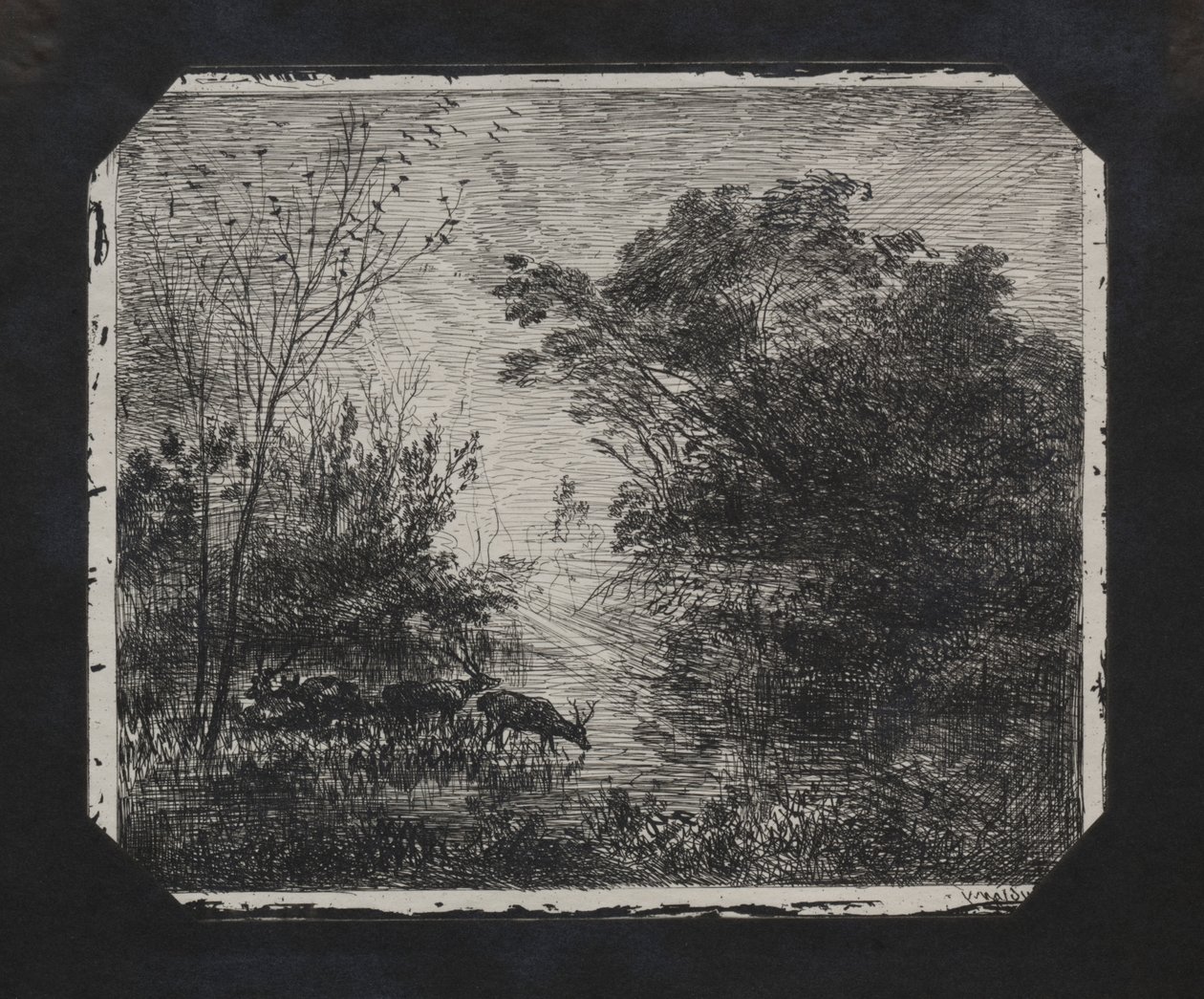 Hirvi, 1862. tekijältä Charles Francois Daubigny