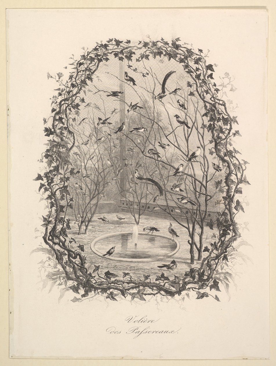 Sparrow Aviary, 1843. tekijältä Charles Francois Daubigny