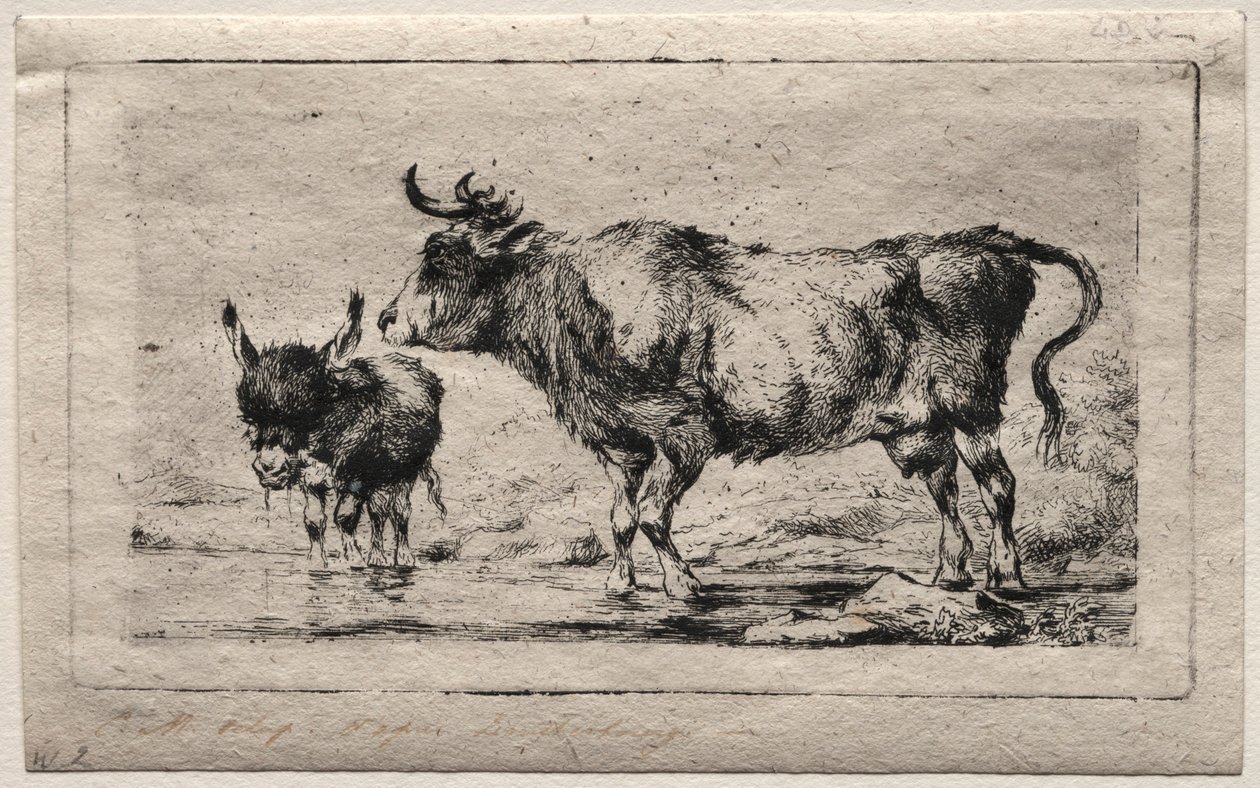 Lehmä ja aasi, 1849. tekijältä Charles Meryon