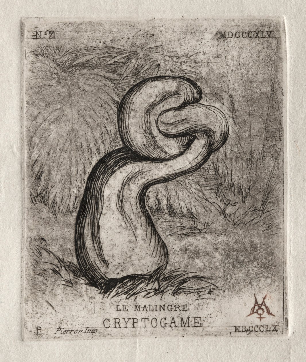 The Sickly Cryptogam, 1860. tekijältä Charles Meryon