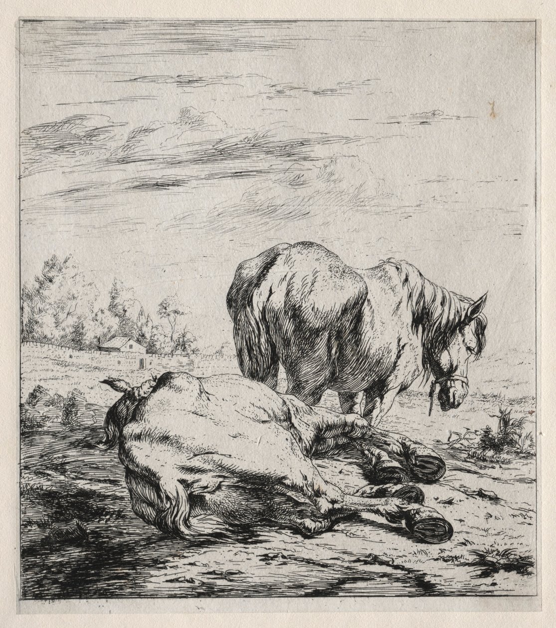 Kaksi hevosta, 1850. tekijältä Charles Meryon