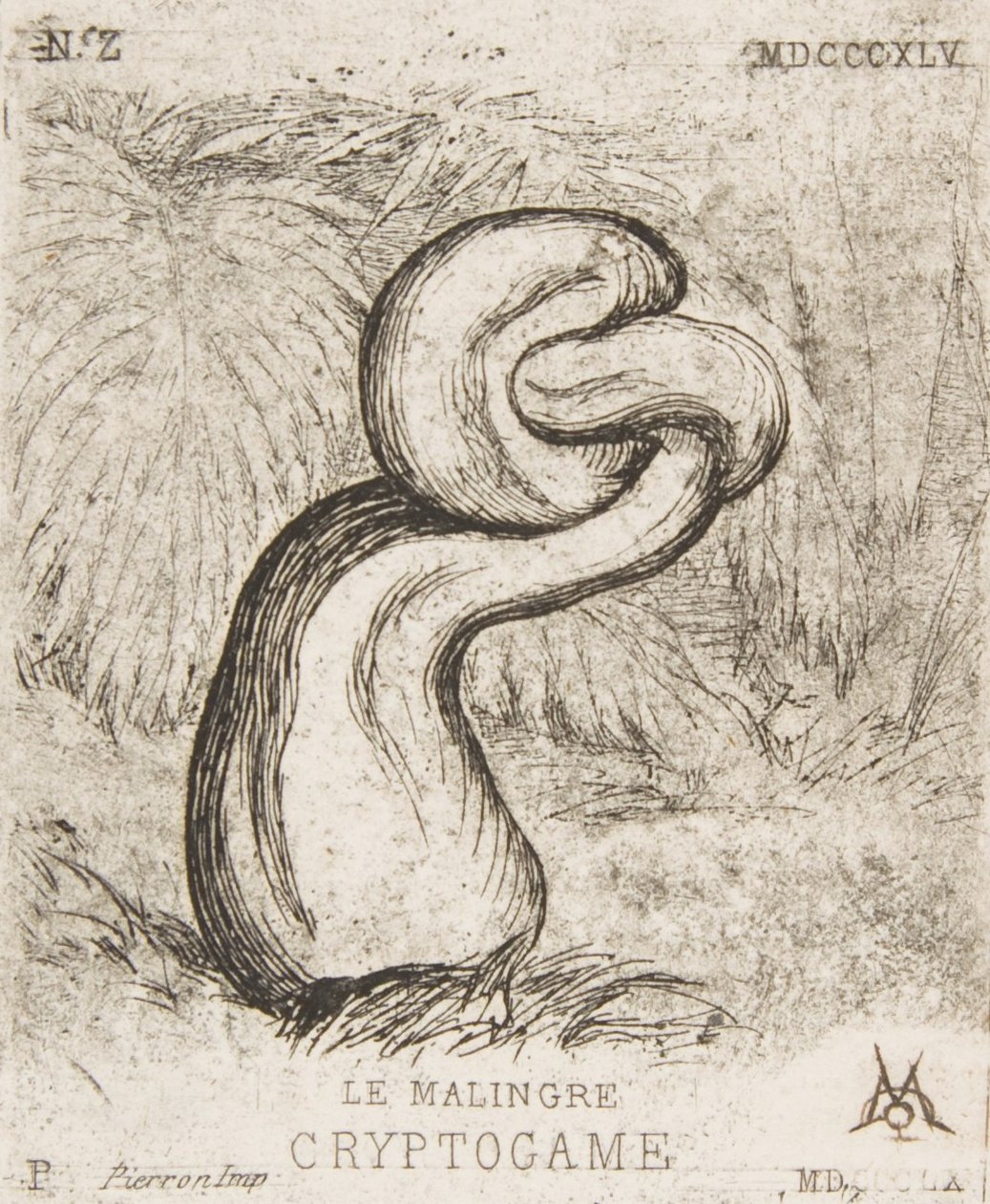 Pieni kryptogamia, 1860. tekijältä Charles Meryon