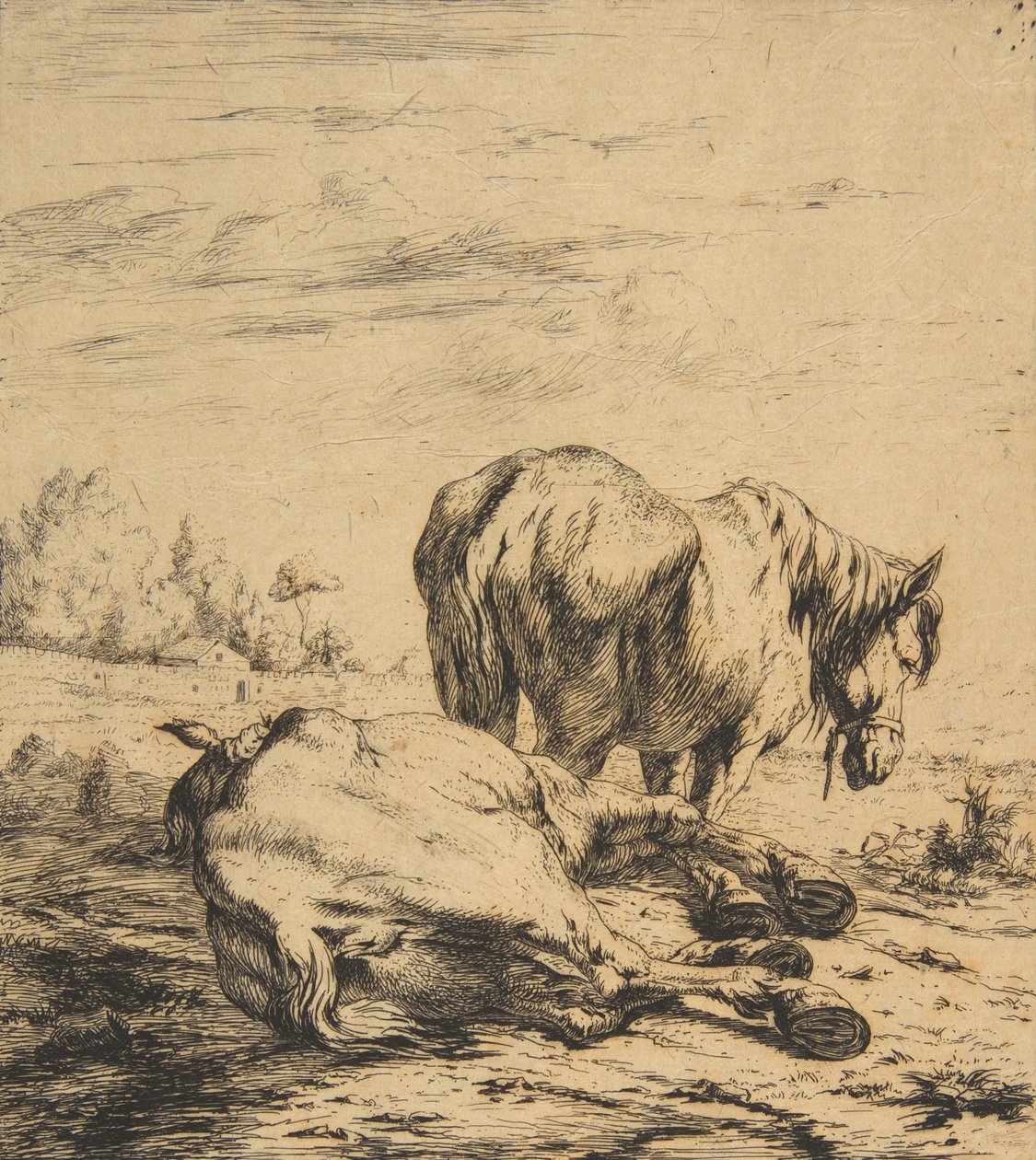 Kaksi hevosta, 1850. tekijältä Charles Meryon