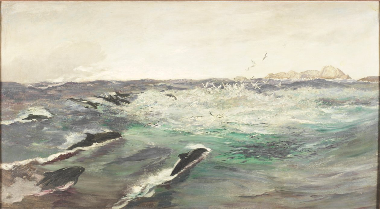 Pyöriäiset jahtaavat makrillia tekijältä Charles Napier Hemy