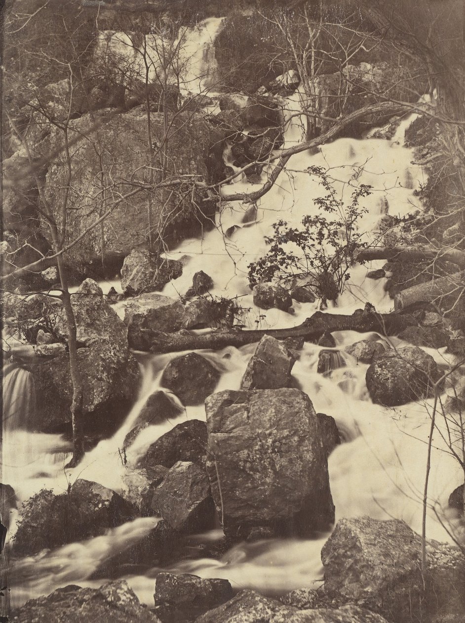 [Puut ja vesiputoukset], 1860-65. tekijältä Charles Nègre
