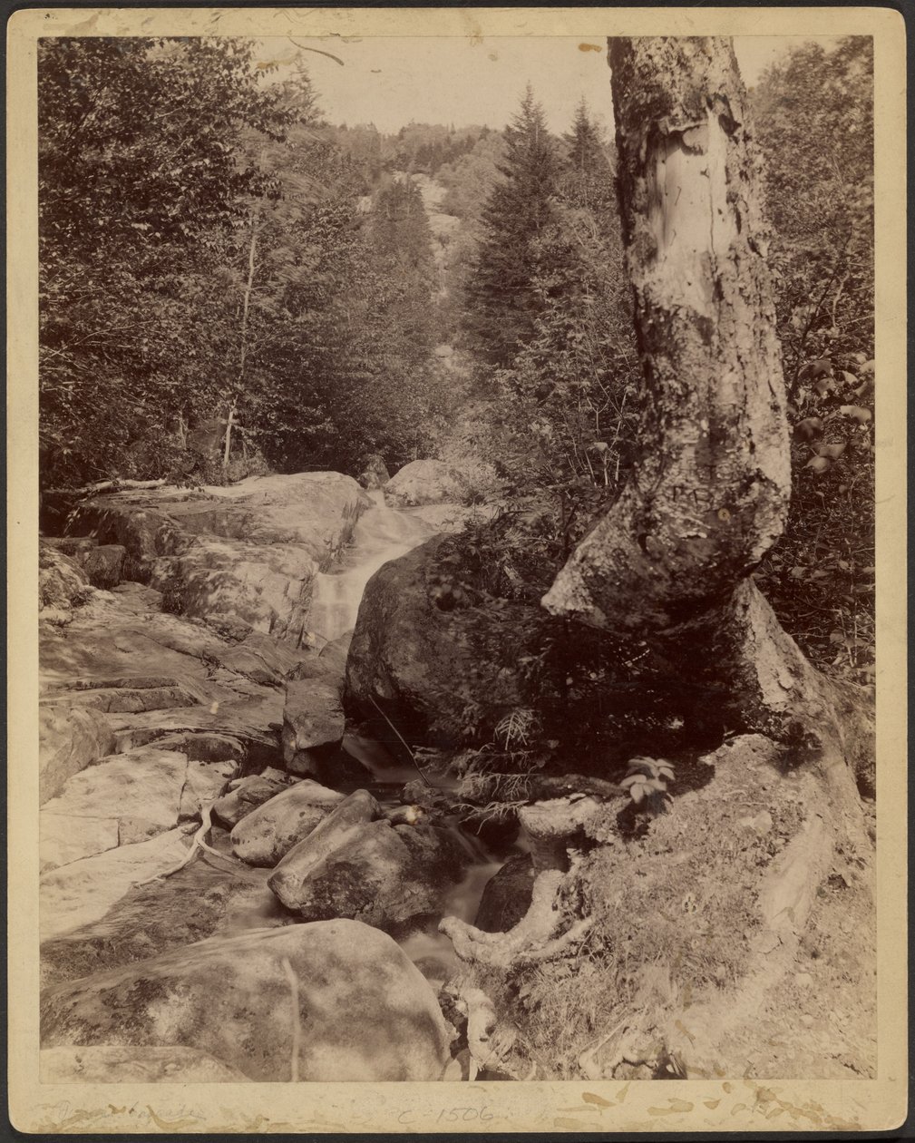 [Cascading Stream] tekijältä Charles P. Hibbard
