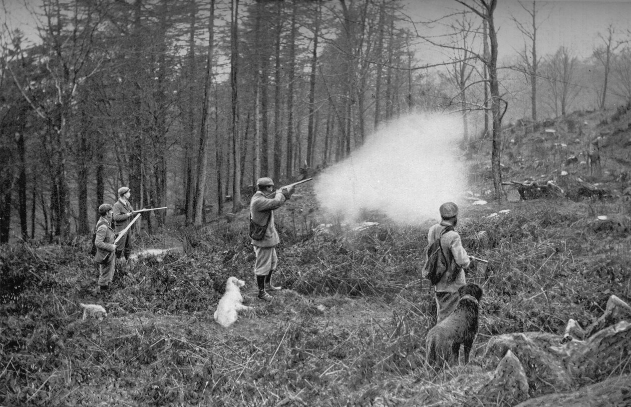 Teoksessa The Coverts, c1902, 1903 tekijältä Charles Reid