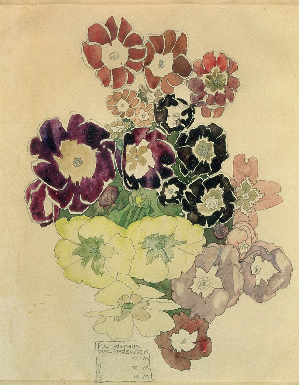 Polyanthus, Walberswick, 1915 tekijältä Charles Rennie Mackintosh