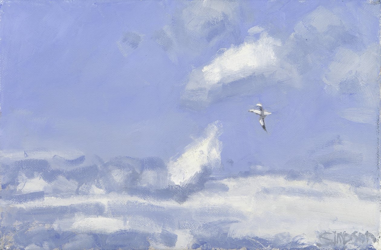 Gannet  Pilvet, 2016 (öljy kankaalle) tekijältä Charles Simpson