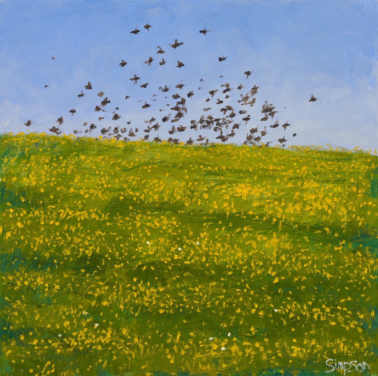 Starlings  Buttercups, Iona, 2015 (öljyä kankaalle) tekijältä Charles Simpson